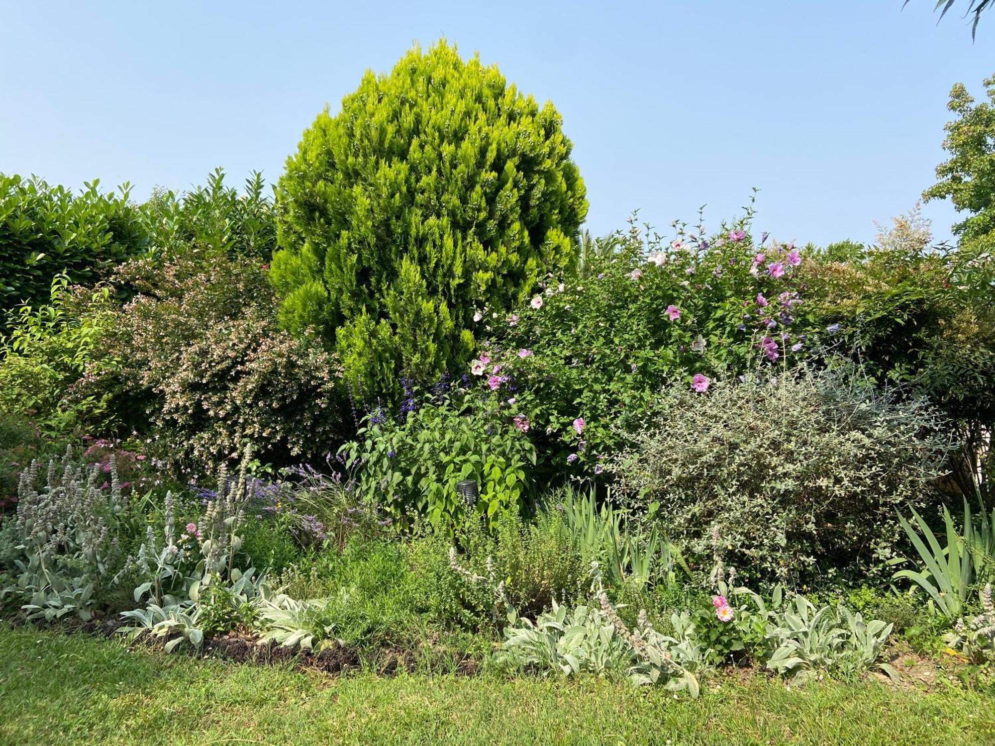 Sweet Home - 55M2 Appartment, Garden, Swimming Pool, Parking Toulouse Exterior foto